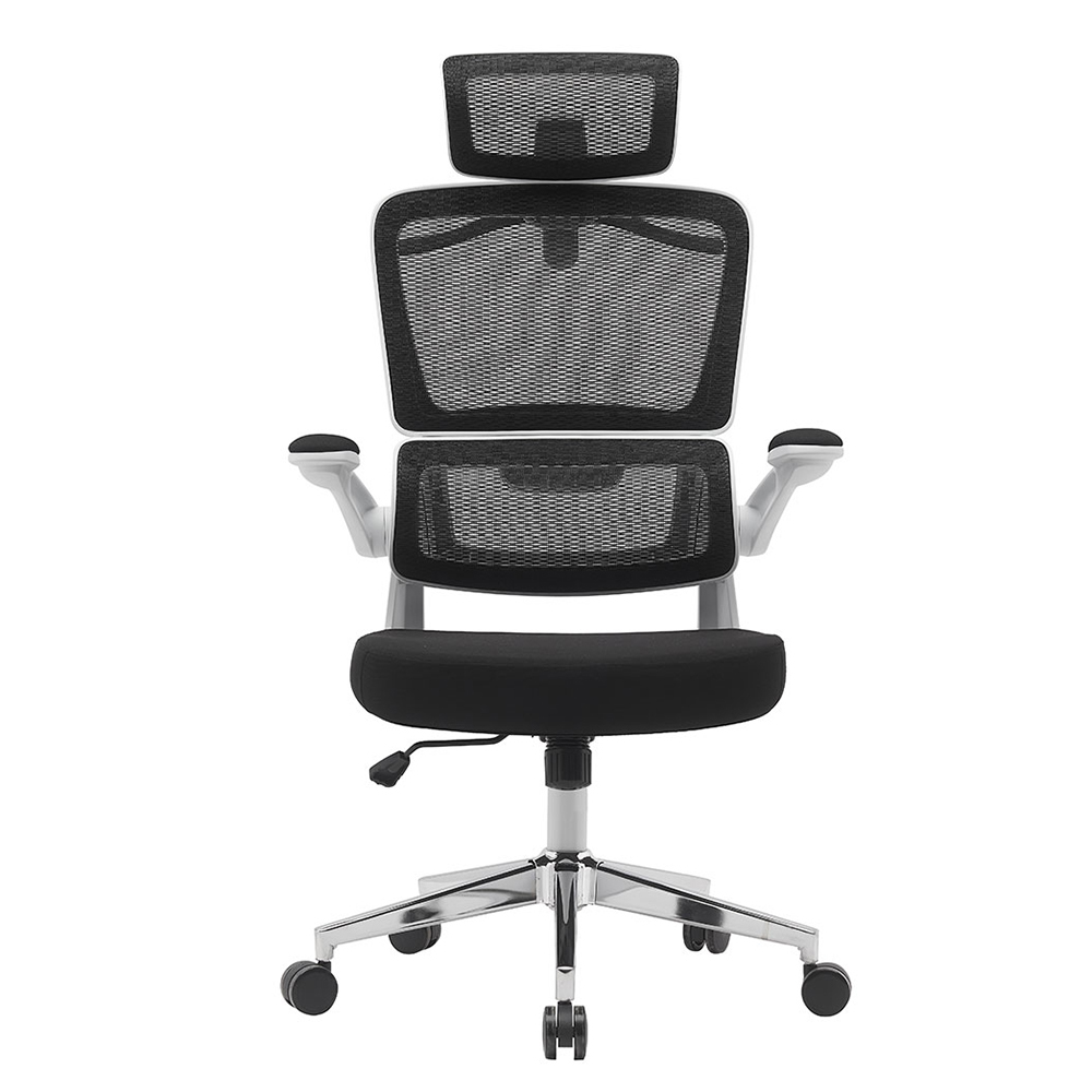 Ergonomic Chair